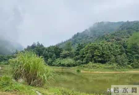 人到晚年才明白：最高级的养老是跟着子女走，而不是靠在他们身上