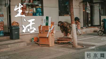 生活很重，但谁不是一边扛着生活，一边学着哄自己开心？