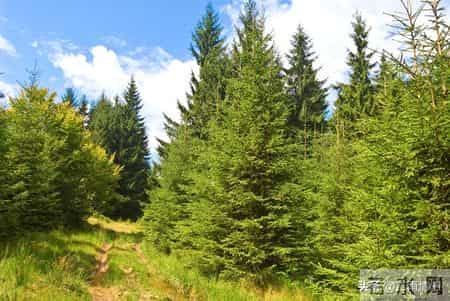 改变一个孩子最有效的手段，不是讲道理、发脾气，而是这两个字