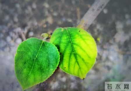 人际交往大忌，不要轻易让别人知道，你与谁有矛盾