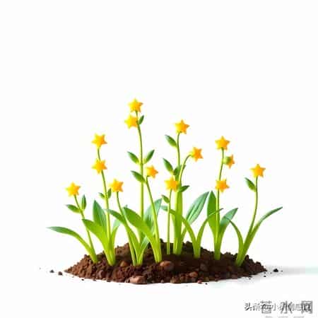 把耐心留给孩子，往后余生静待花开不慌张