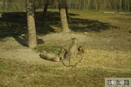 子女最大的悲哀，不是父母退休金低，而是父母60多岁有这八种行为