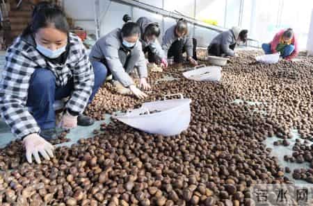 家门口有了就业新阵地——我州打好组合拳促进就业稳增收