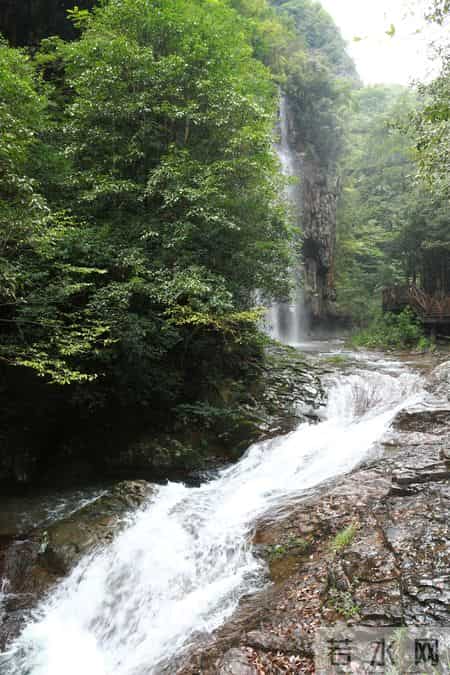 候鸟旅居养老，这些“坑”踩中一个，可能给你晚景添堵！