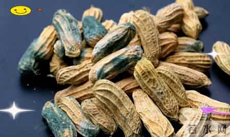 研究发现：60岁后天天吃鸡蛋，患肝癌是不吃鸡蛋的数倍？真的吗？