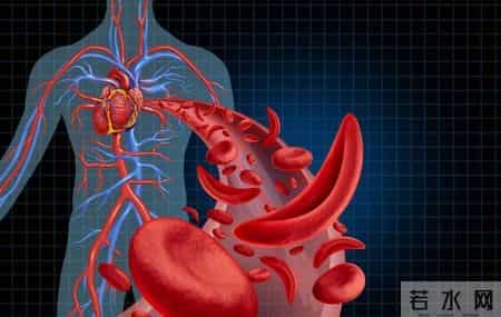 运动就能降血压？英国研究：降血压有4项“最佳运动”，不是跑步