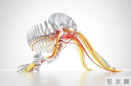 坐骨神经痛不是“腿疼”那么简单！找准原因，科学应对才不误治