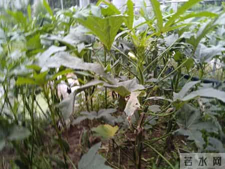 孩子好运飙升！不用催自觉懂事，做好这4点惊喜不断