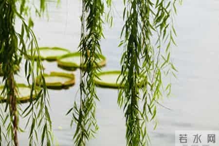 为孩子接住“干啥都顺”：不是迷信，是给成长装“顺劲”的小技巧