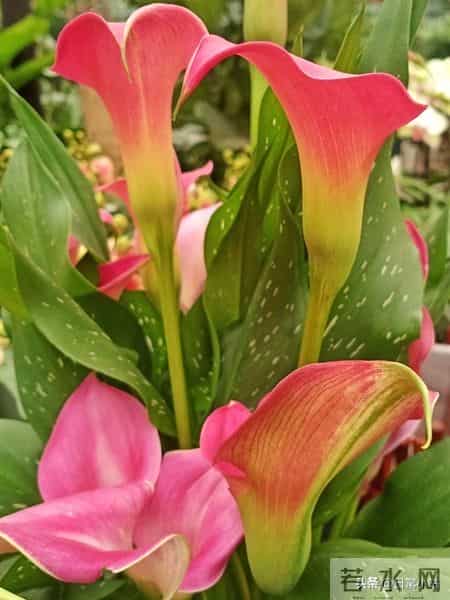 人到晚年，守住这几样才是真福气