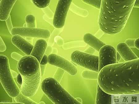 长期服用这两类药，或悄悄拖垮免疫系统！很多人还在天天吃！