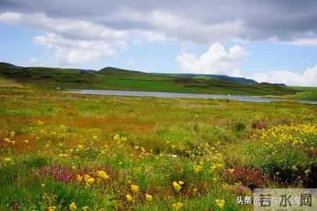 退休了，只要你不入任何的局。你将话得很自在