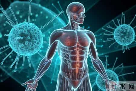 米酒立大功？研究发现：经常喝米酒的男人或有6个健康益处