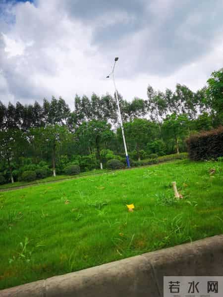 父母的疏忽，孩子的代价一 一次悲剧引发的反思。