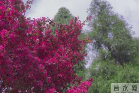 心灵于释然中解放，人生在放下后丰盈