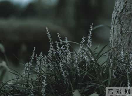 人到晚年，如果你只有一个儿子，请尽快做好这4个准备
