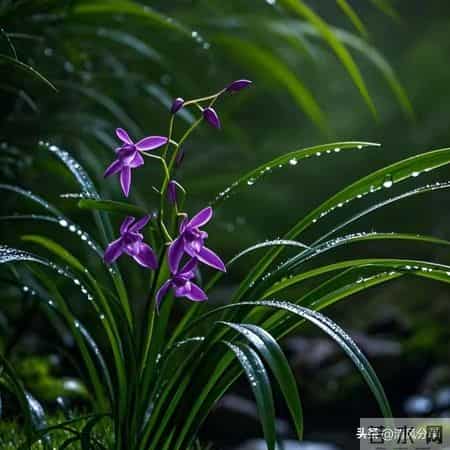 接住！福报到家，给孩子接2026一顺百顺，这样做，事事都顺！