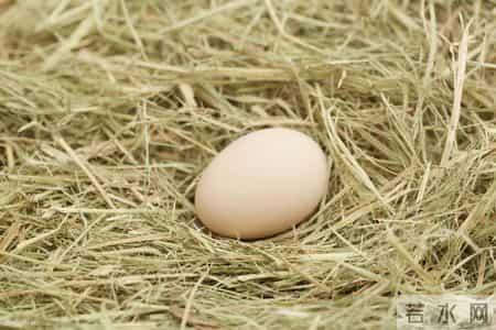 调查发现：65岁后常吃鸡蛋，患肝癌风险是不吃鸡蛋的几倍？真的吗