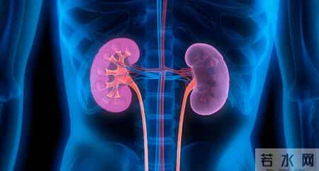 肾很喜欢的一种早餐，对头发很好，对眼睛也好，小寒过后抓紧吃！