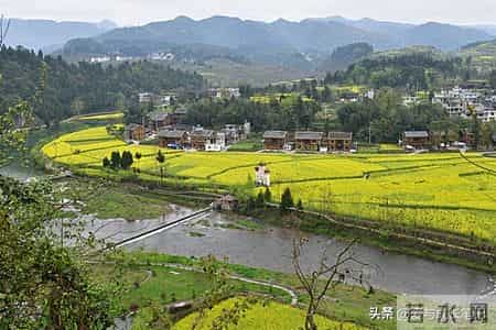 退休了，只要你不入任何的局。你将话得很自在