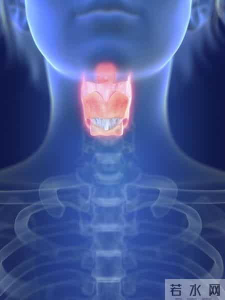 甲状腺癌手术很成功，病人却活不长？医生：很多人忽视术后这几事