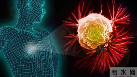 自2026年起，体检发现是癌症早期的患者，千万重视做好这4项准备