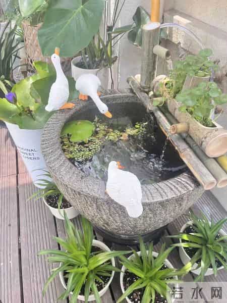 人老了，才享受到独居的好处多爆？掌握这7样，让你赛过天仙！