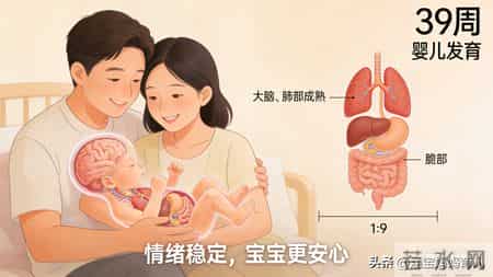 宝宝出生真有“良辰吉日”？这5个出生时机排序，你家娃是第几名