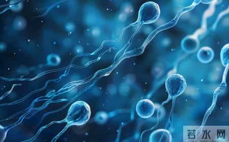 女性巨阴症可以生育吗？医生：主要看3种情况，不妨了解一下