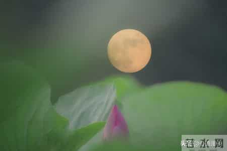 我52岁，退休后才发现：哪怕每月一两千的退休金，也是被人羡慕的