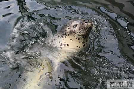 子女最大的悲哀，不是父母退休金低，而是父母60多岁有这八种行为