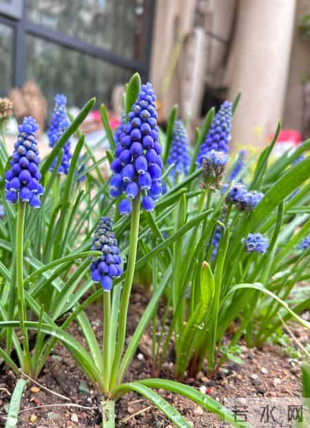 年轻人，趁现在拼尽全力赚钱，多赚钱才是你的头等大事！