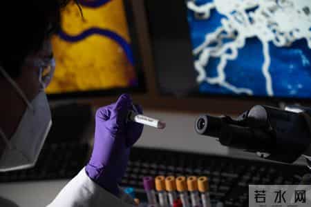 广州梅毒病例同比降12.4%，但隐性梅毒占90%以上，没症状要如何早发现？