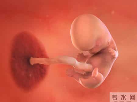 怀孕1-40周，胎儿发育每周变化！孕妈妈的干货科普