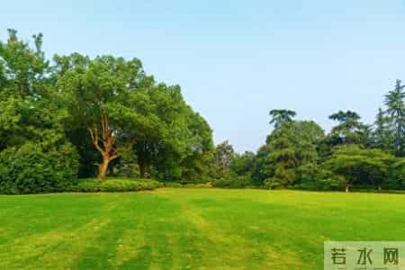 所谓的“见过世面”，不过是让孩子看见父母努力生活的样子