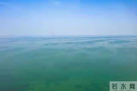 遇到话少的领导，别慌！读懂他的3个“怪癖”，反而容易升职！