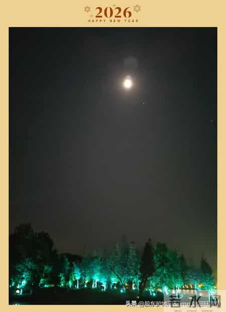 霸王茶姬 vs 太阳神：危机应对避坑指南