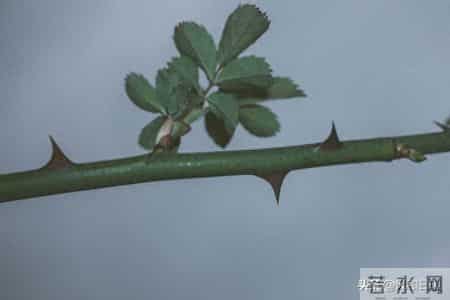 熬到头了！明天开启命运转折，苦尽甘来定成真