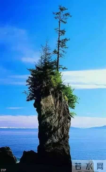 父母养育孩子的真正目的是什么