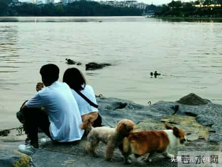 我落魄时遇见她：从此人间值得