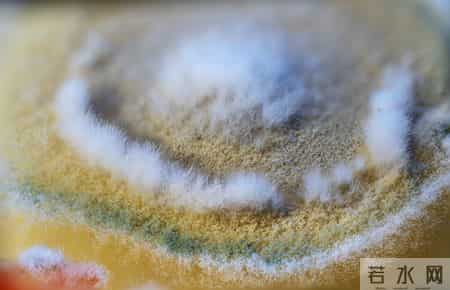 冰箱里的3个东西，是白血病的致病原因之一，要尽早丢掉！