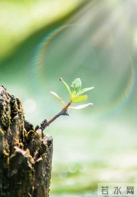 频繁的换工作，真正是我自己不会坚持的原因吗