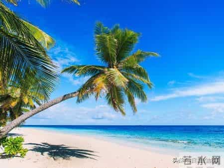 别让爱变成害！0-1岁宝宝养护，这7个误区你中了几个？