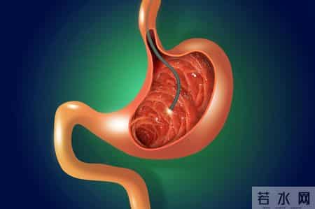 山楂成为关注对象！医生：常吃山楂，不出3个月，身体或有5大改善