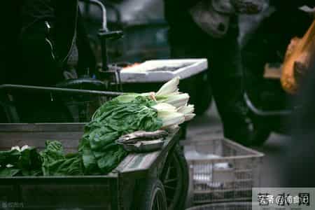 冬季买菜时，这4种蔬菜可能含有甲醛，建议少吃