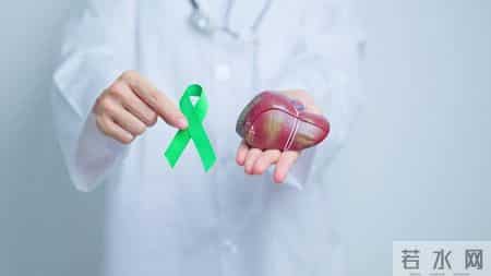 医生建议停止使用绞肉机，因为会损伤肝脏？危言耸听