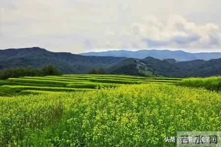 退休2年，我才发现，65岁以上还在拼命打工的人，基本上是这5种人
