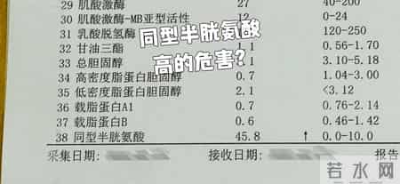 体检报告里这一项异常，竟是脑梗信号？9成人不重视，后悔太晚！