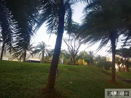 带孙两年，我从焦虑到佛系：放过自己，才是带娃最好的姿态