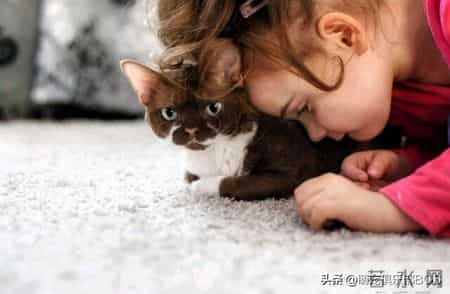 猫咪蹭蹭打呼噜，居然能帮自闭症孩子缓解焦虑